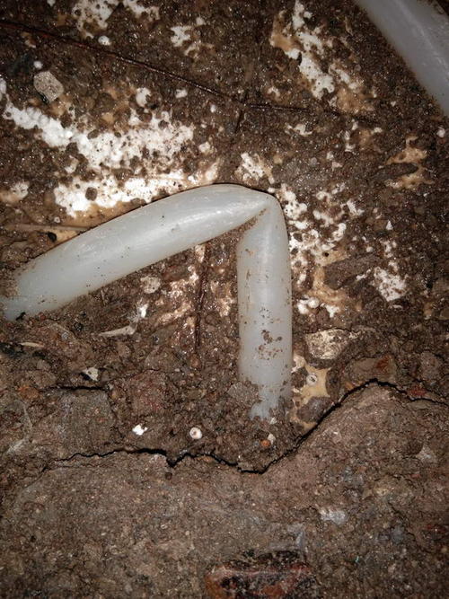 景谷堵点精准查找